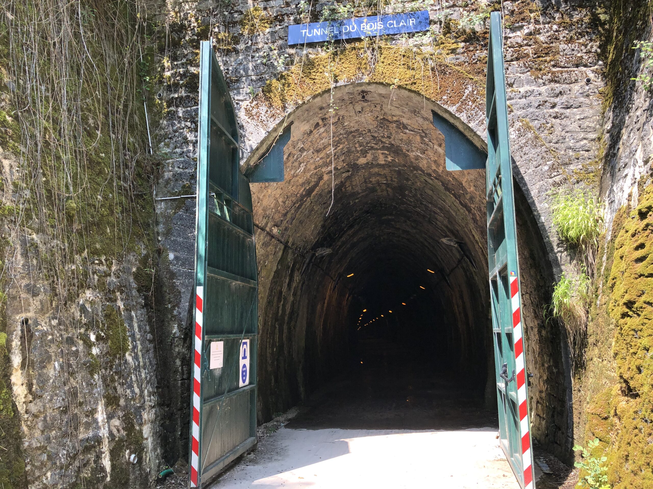 tunnel du bois clair